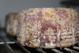 2011_penalon_300_024