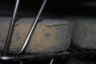 2011_penalon_300_026