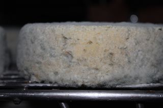 2011_penalon_300_027