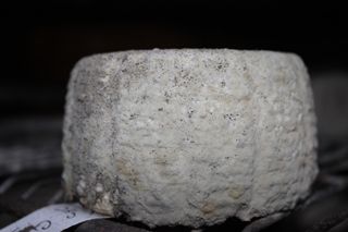 2011_penalon_300_030
