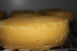 2011_penalon_300_034