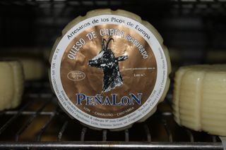 2011_penalon_300_035
