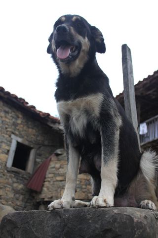 2011_penalon_400_006