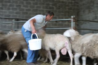 2011_penalon_400_008