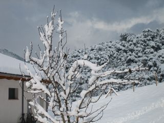 2011_prado_trevilla_300_005