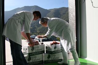2011_prado_trevilla_400_031