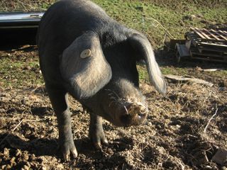 2011_prado_trevilla_900_001