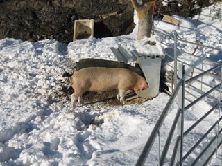 2011_prado_trevilla_900_006