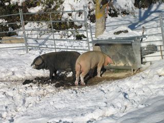 2011_prado_trevilla_900_007