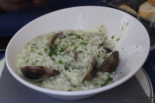 2014 08 solorzano 013