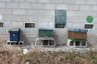 IMG_3166_320