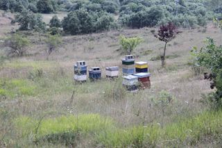 IMG_3167_320
