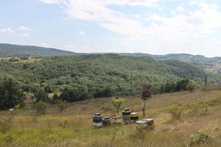 IMG_3168_320