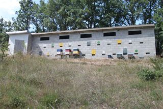 IMG_3169_320