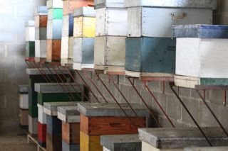 IMG_3173_320
