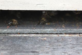 IMG_3179_320