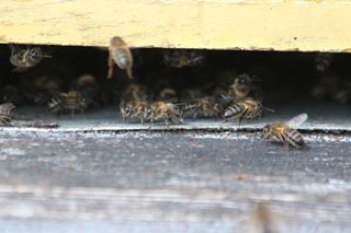 IMG_3183_320