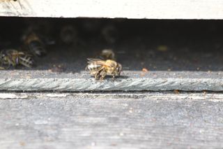 IMG_3189_320