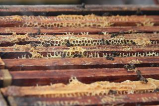 IMG_3191_320