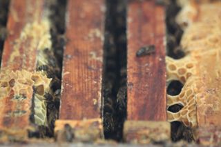 IMG_3194_320