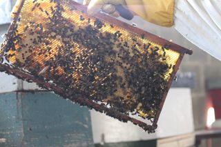 IMG_3206_320