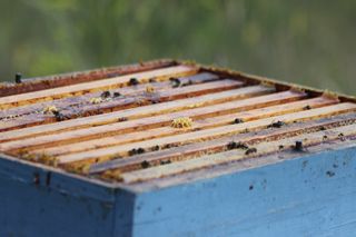 IMG_3221_320