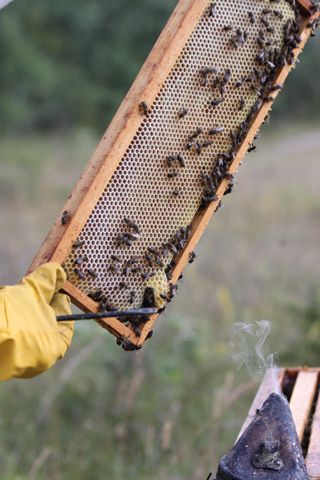 IMG_3237_320