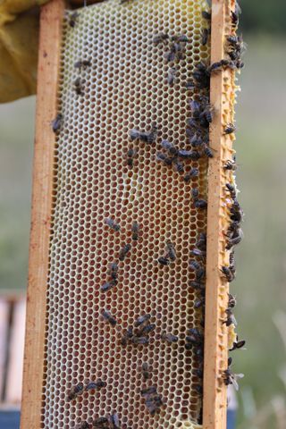 IMG_3241_320
