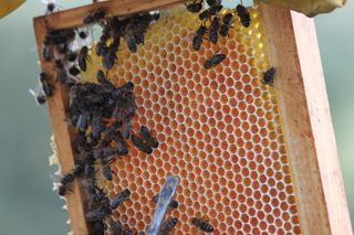 IMG_3245_320