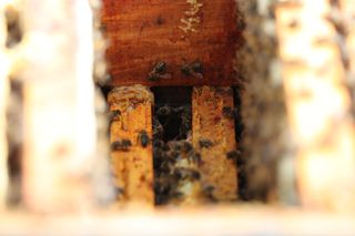 IMG_3268_320