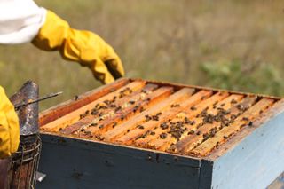 IMG_3277_320