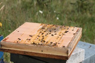 IMG_3282_320