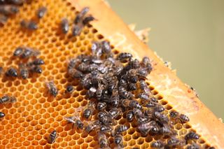IMG_3287_320