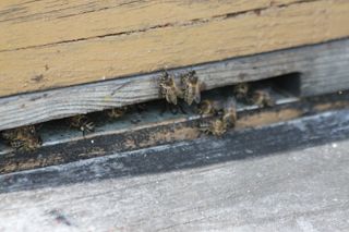 IMG_3310_320