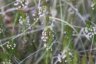 IMG_3311_320