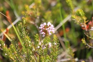 IMG_3316_320