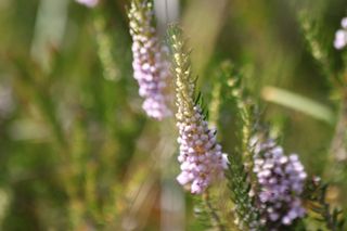 IMG_3321_320