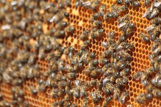 IMG_3324_320