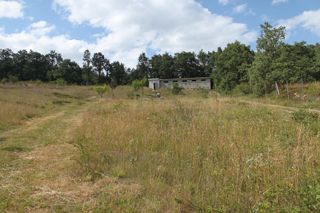 IMG_3377_320