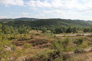 IMG_3382_320