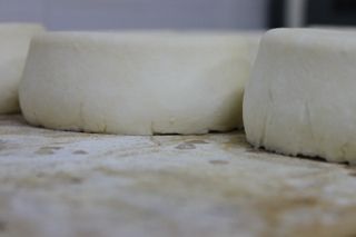 IMG_3520