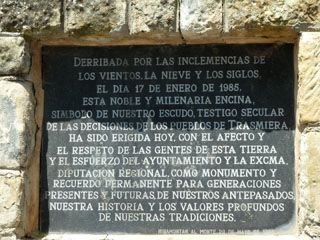 2011_08_modernista_001