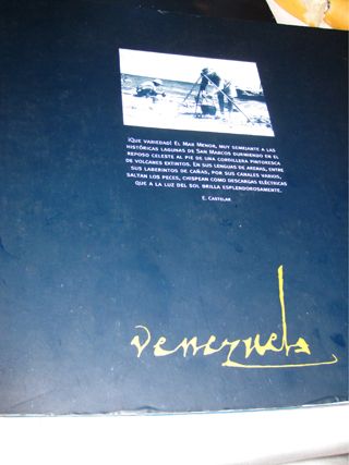 2011_venezuela_lopagan_001