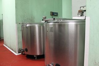 IMG 4371