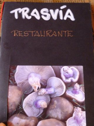 2011 10 trasvia 005