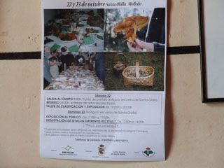 2011 10 trasvia 003
