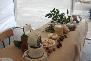 IMG 5623