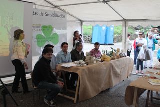 IMG 5623