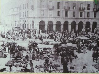 P1030559