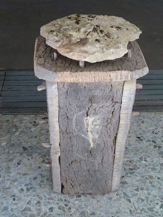 P1030563